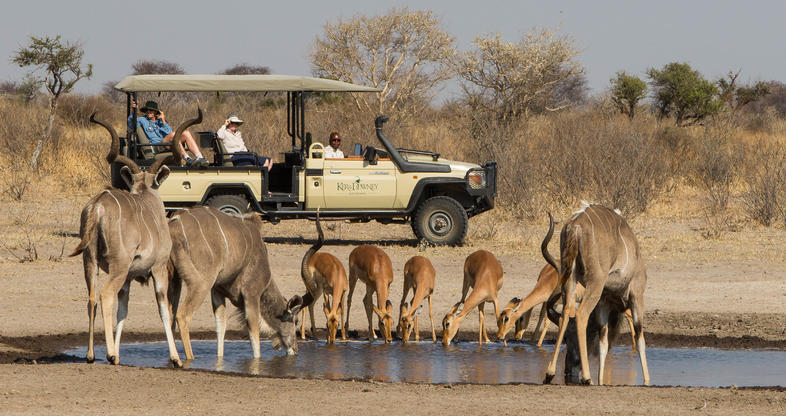  Top activities to do in Central Kalahari Game Reserve on Botswana safari